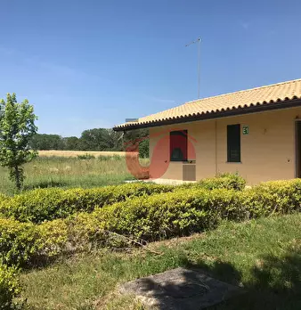 Foto annuncio 26