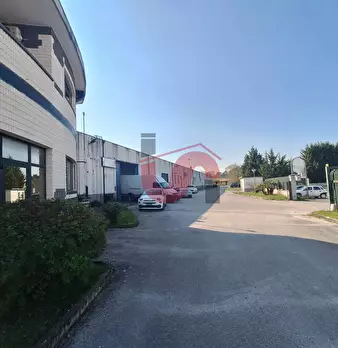 Foto annuncio 5