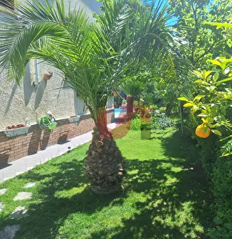 Foto annuncio 50