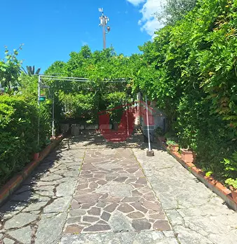 Foto annuncio 56