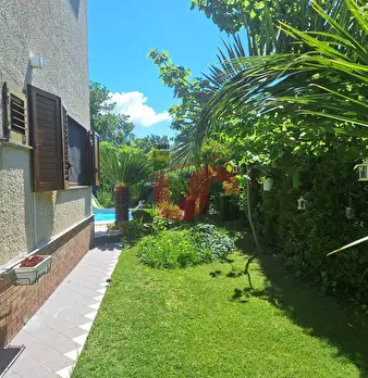 Foto annuncio 51