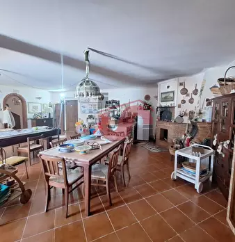 Foto annuncio 35