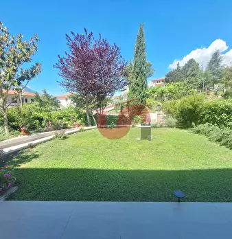 Foto annuncio 52