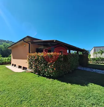 Foto annuncio 2