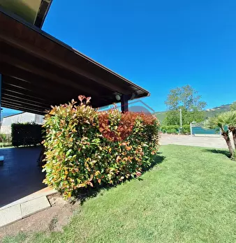 Foto annuncio 28