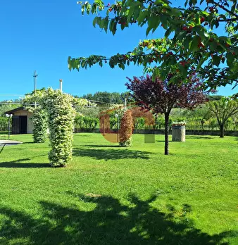 Foto annuncio 41