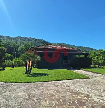 Foto annuncio 44