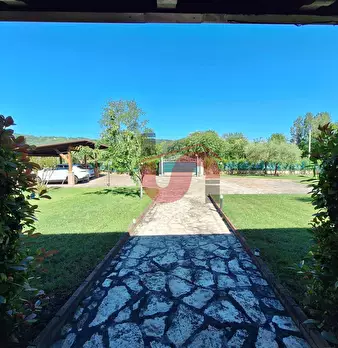 Foto annuncio 47