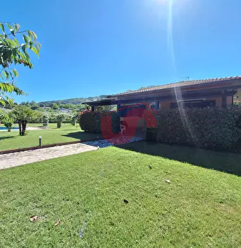 Foto annuncio 49