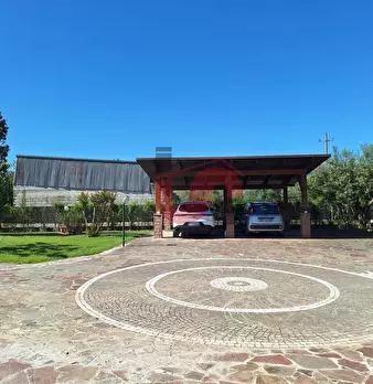 Foto annuncio 43