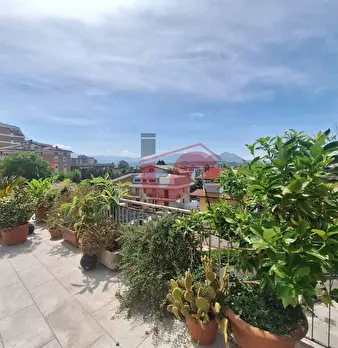 Foto annuncio 37