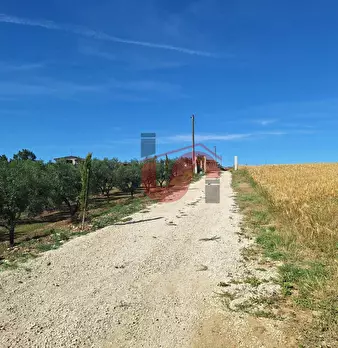 Foto annuncio 29