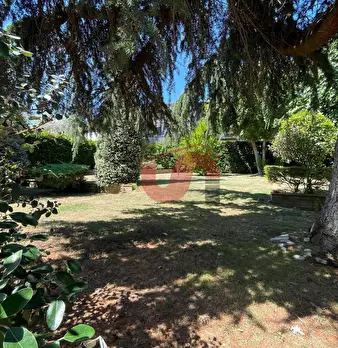 Foto annuncio 46