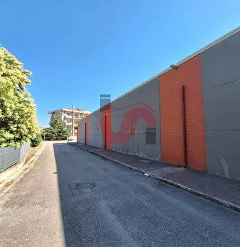 Foto annuncio 3