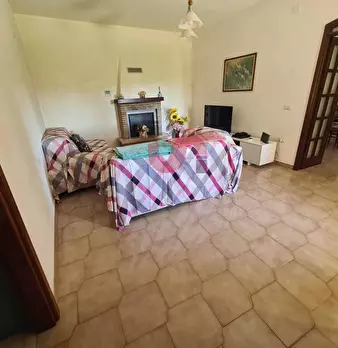Foto annuncio 7