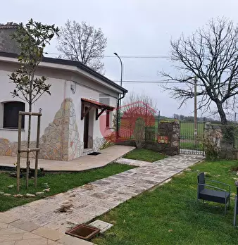 Foto annuncio 23