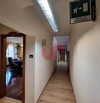Foto annuncio 11