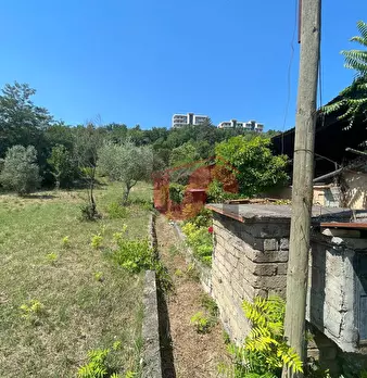 Foto annuncio 21