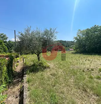Foto annuncio 23