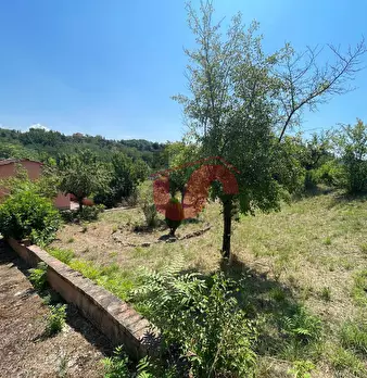 Foto annuncio 24