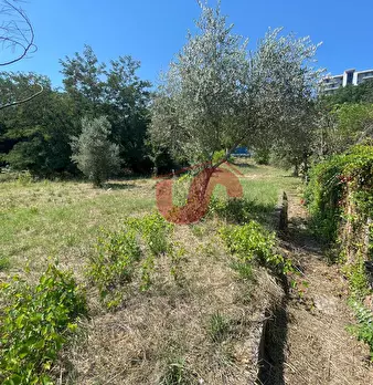 Foto annuncio 26