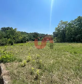 Foto annuncio 27