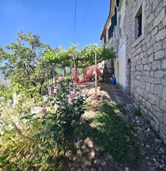 Foto annuncio 23