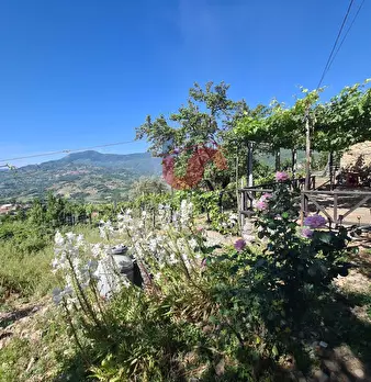 Foto annuncio 25