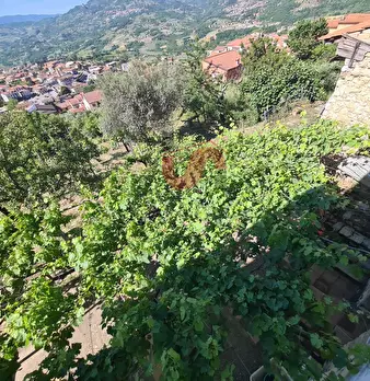 Foto annuncio 26
