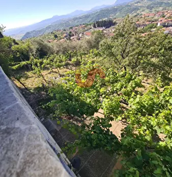 Foto annuncio 27