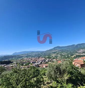 Foto annuncio 29
