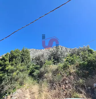 Foto annuncio 31