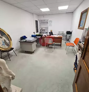 Foto annuncio 6