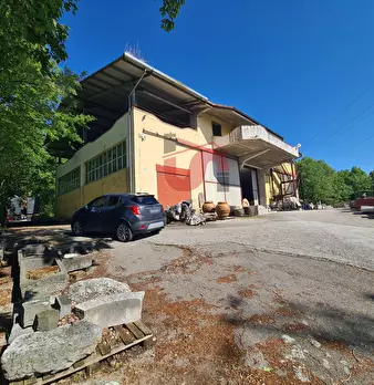 Foto annuncio 1