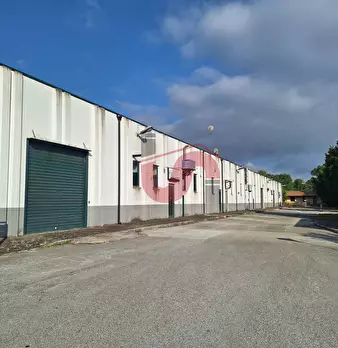 Foto annuncio 15
