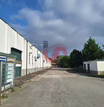 Foto annuncio 16