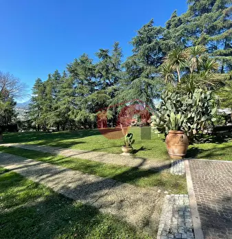 Foto annuncio 65