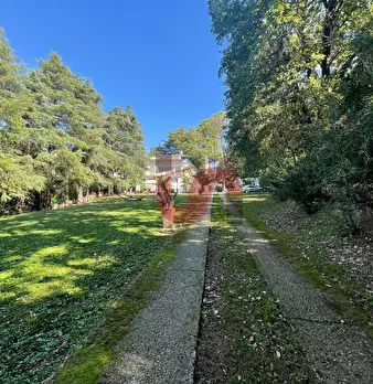 Foto annuncio 68