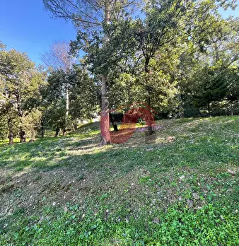 Foto annuncio 70