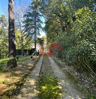 Foto annuncio 72