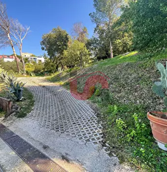 Foto annuncio 75