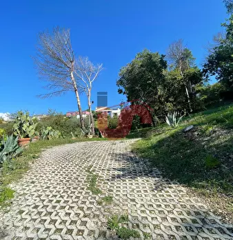 Foto annuncio 74