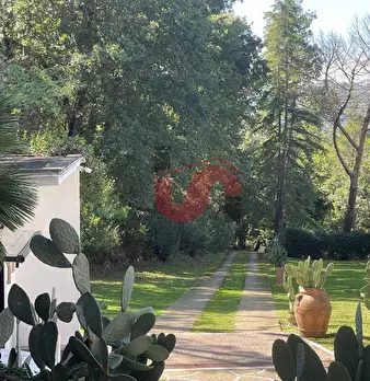 Foto annuncio 64