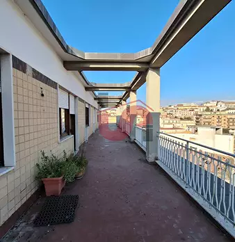 Foto annuncio 7