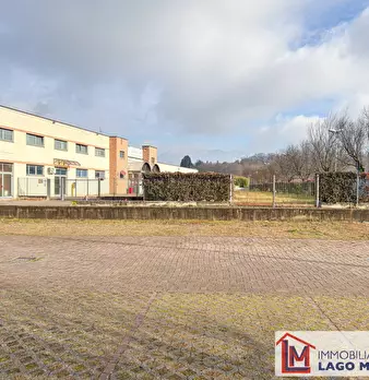 Foto annuncio 18