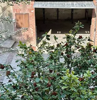 Foto annuncio 22