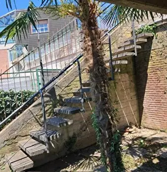 Foto annuncio 35