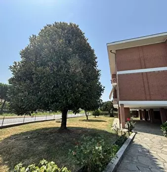 Foto annuncio 27