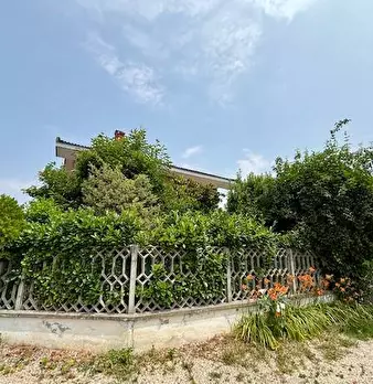 Foto annuncio 12