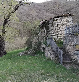 Foto annuncio 11